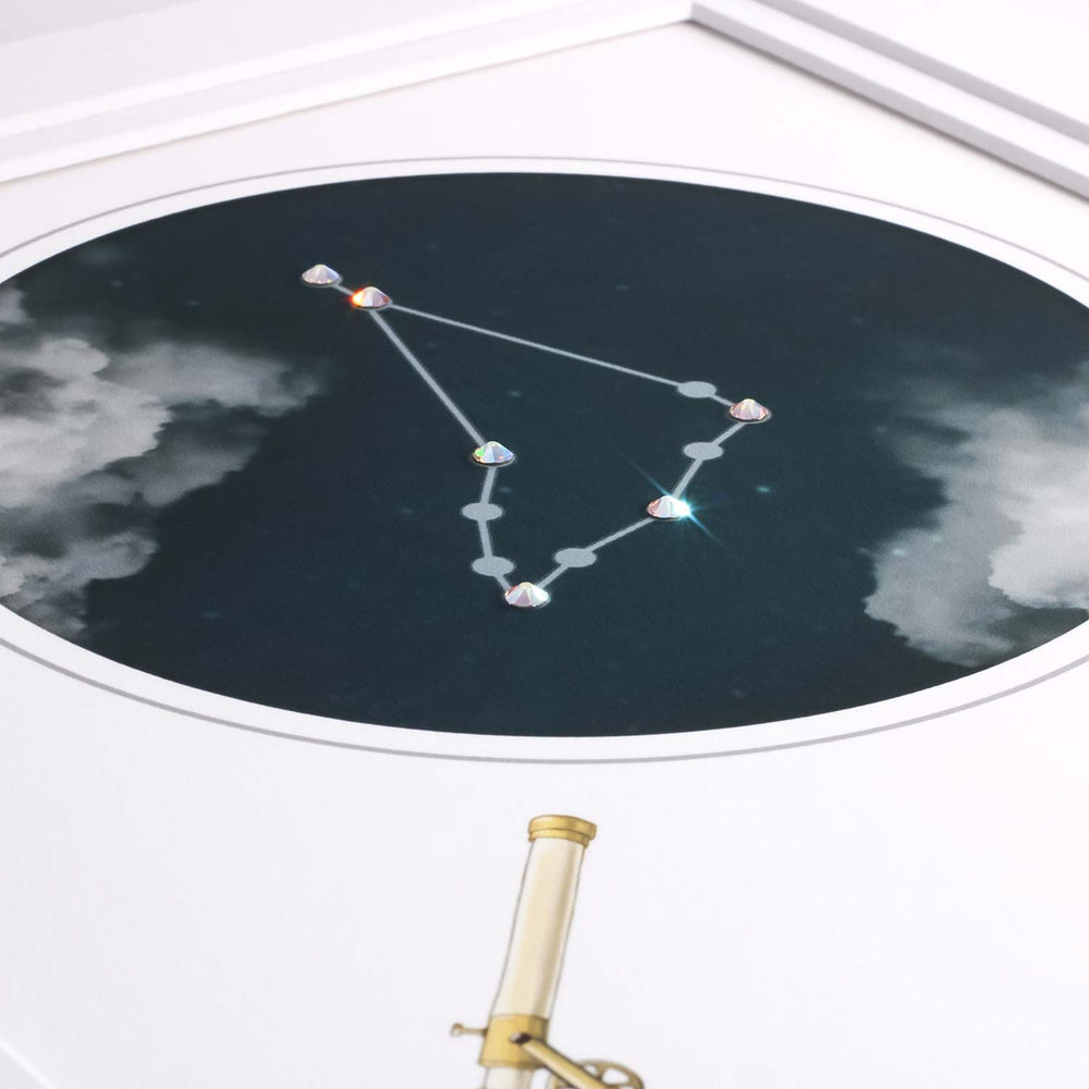 Uptown Meadow Capricorn Constellation 3D Art Print detail