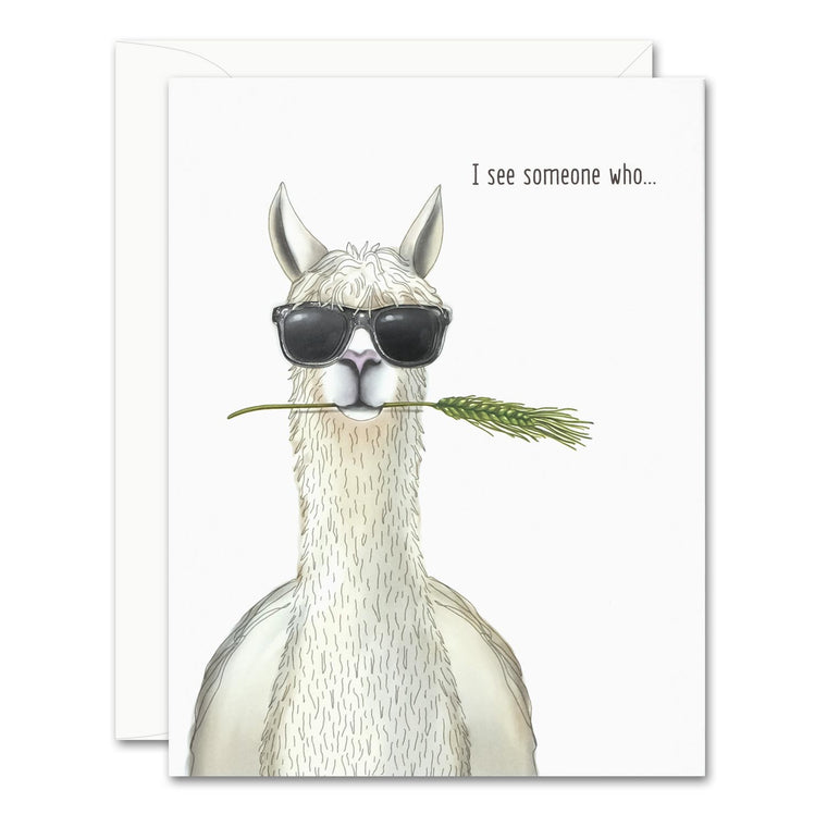 I See Llama Card