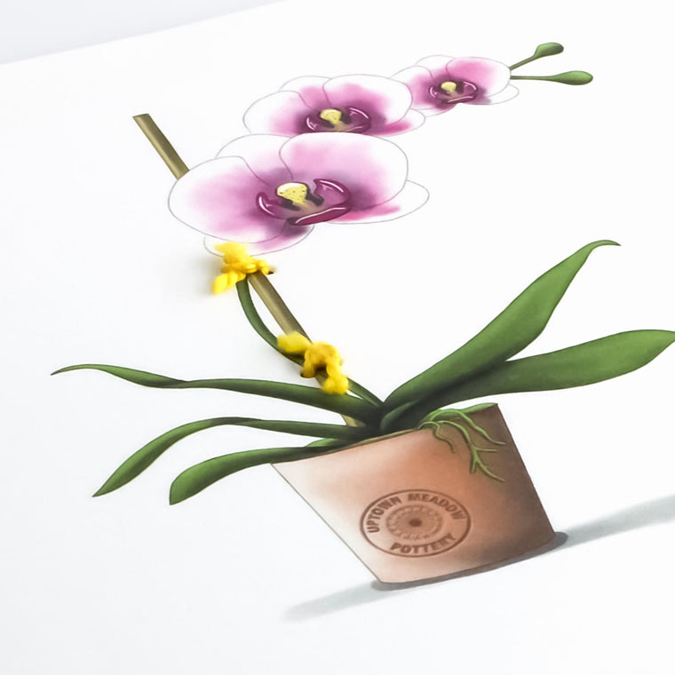 Pink + White Orchid Card