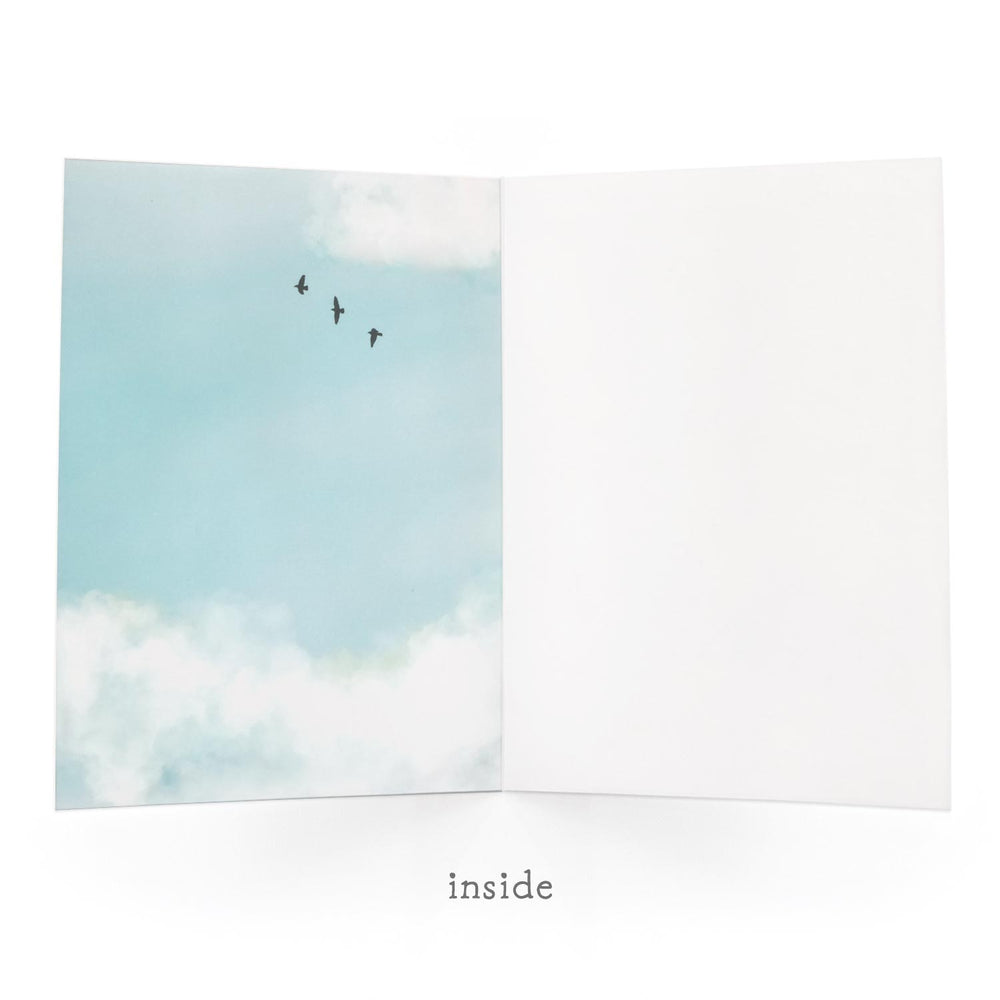 Uptown Meadow Biplane Birthday 3D Card inside