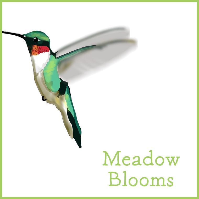 Meadow Blooms