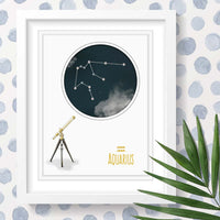 Uptown Meadow Aquarius Constellation 3D Art Print scene