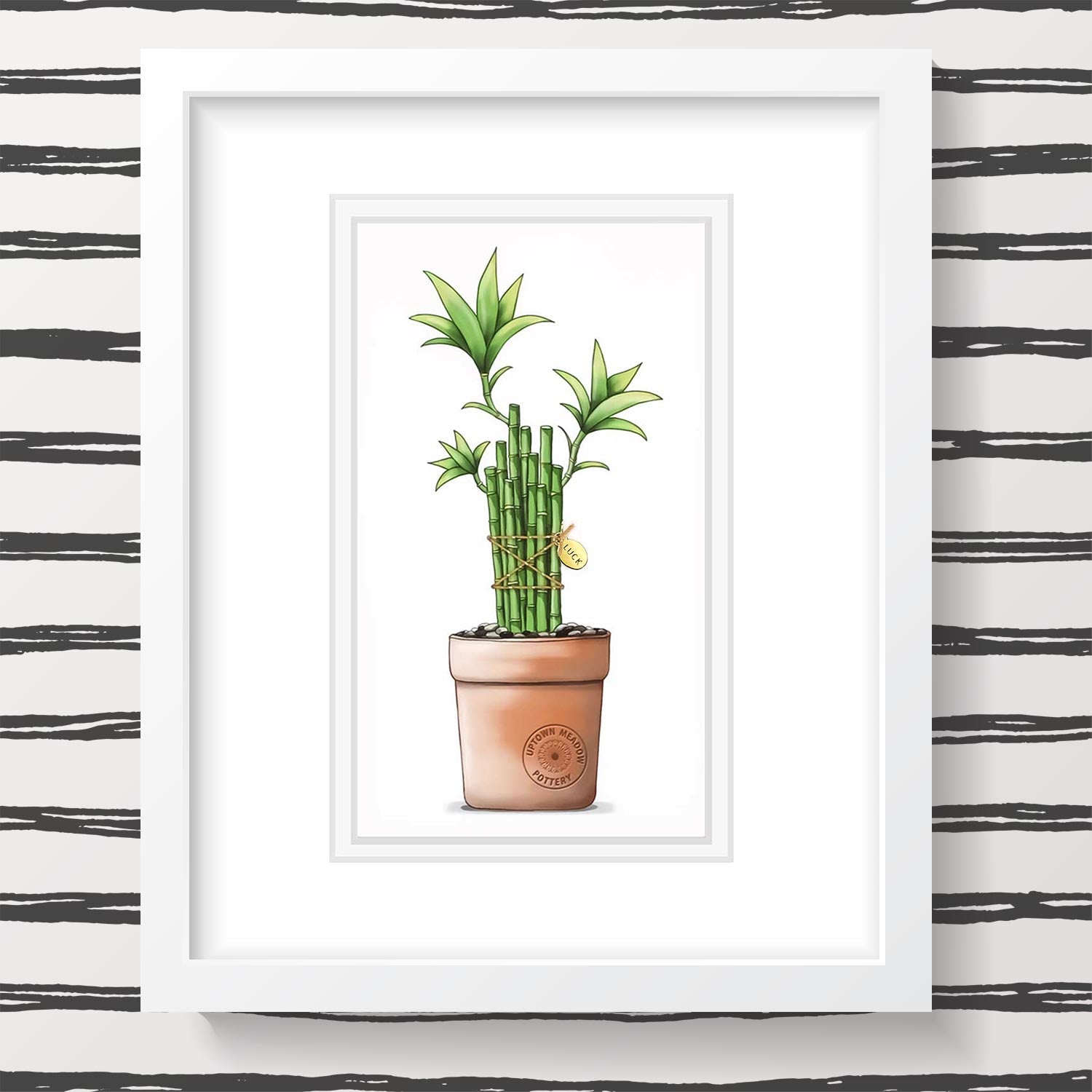 lucky bamboo plant drawing Bamboo