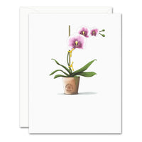 Uptown Meadow Pink White Orchid 3D Card