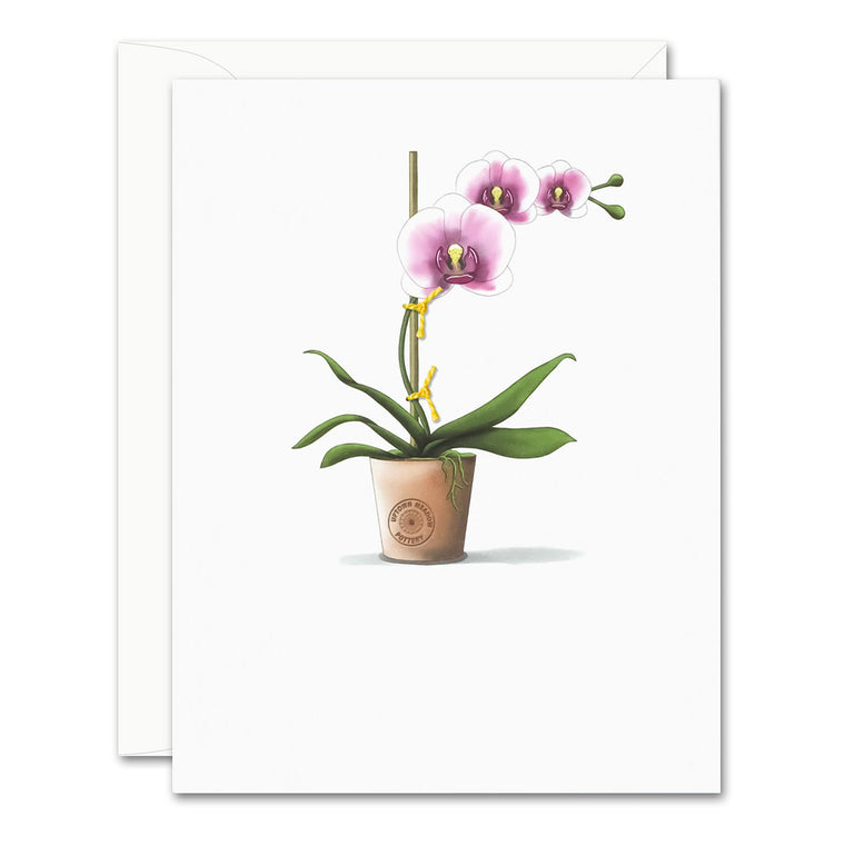 Pink + White Orchid Card