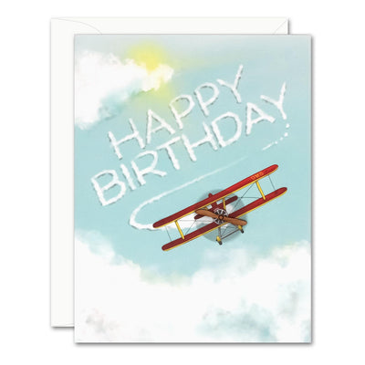 Uptown Meadow Biplane Birthday 3D Card