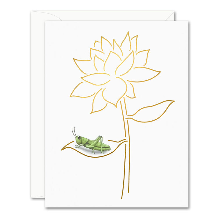 Grasshopper + Bloom Card