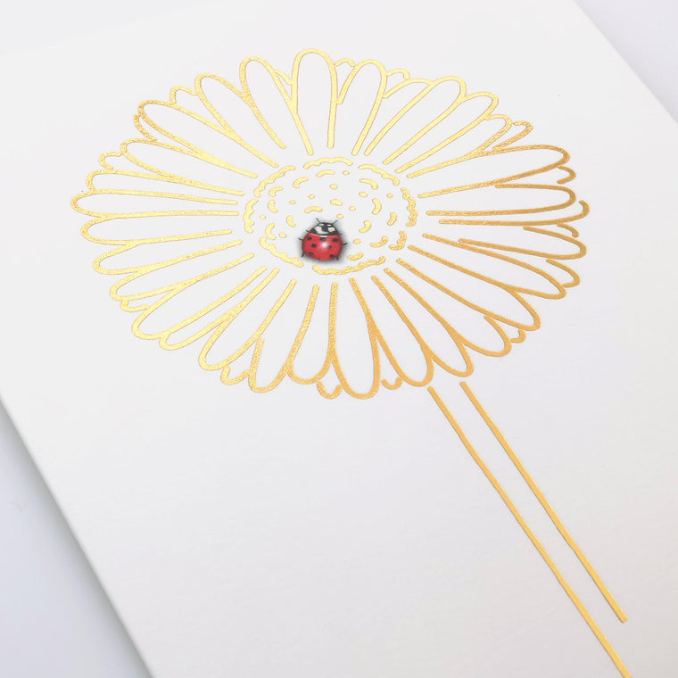 Ladybug + Bloom Card
