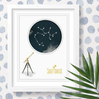 Uptown Meadow Sagittarius Constellation 3D Art Print scene