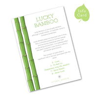Uptown Meadow Lucky Bamboo Info Card